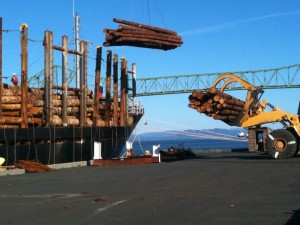 Longshore workers handling logs at the Port of Astoria. Photo by Jeff Smith, President of ILWU Local 8.