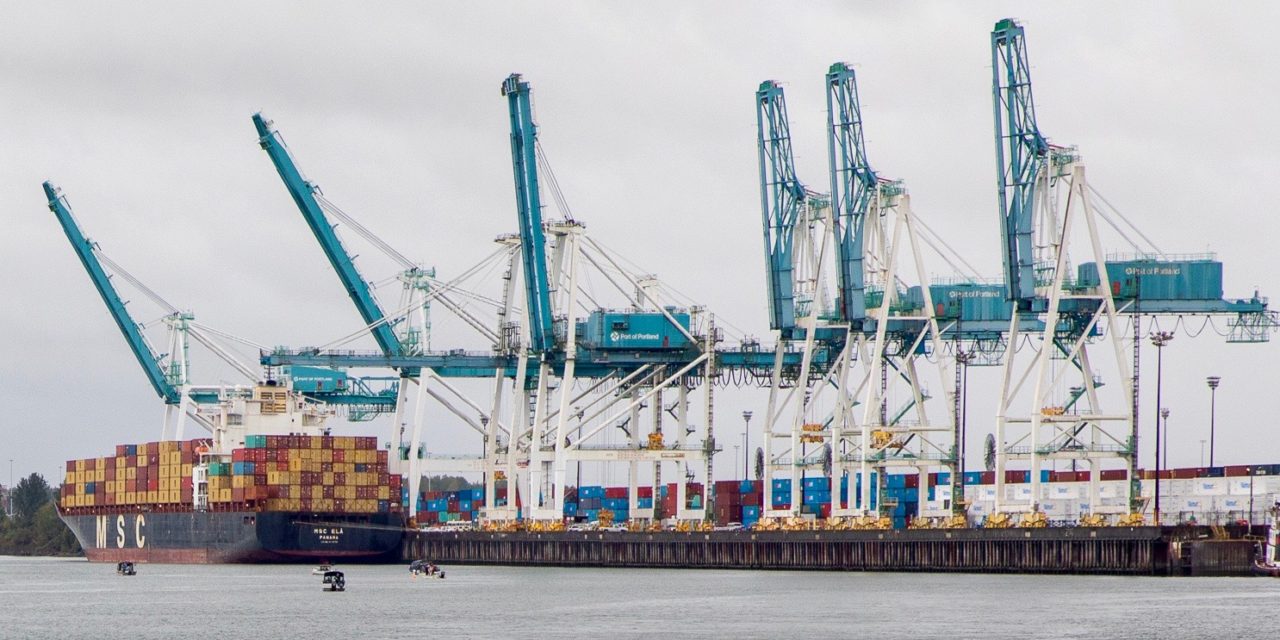 With New MSC Service, Port of Portland’s Fortunes Are Looking Up