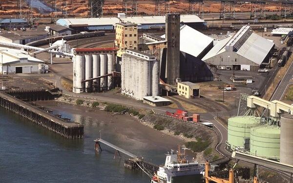 Longview port hires contractor to bring down Berth 4 silo